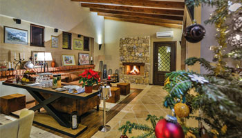 Christmas Festivities 1