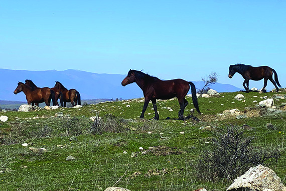 A UTV tour around the beauties of Pirin