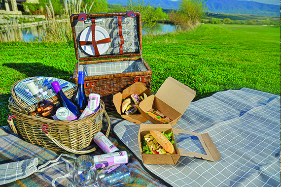 Picnic in pink