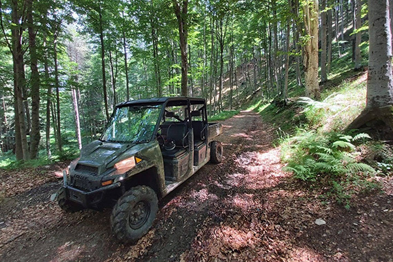 Offroad adventure 1