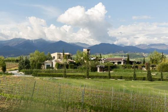 Michelin Guide recognized Zornitza Family Estate