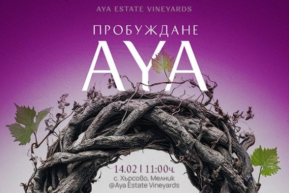 Struma valley wineries Open Day