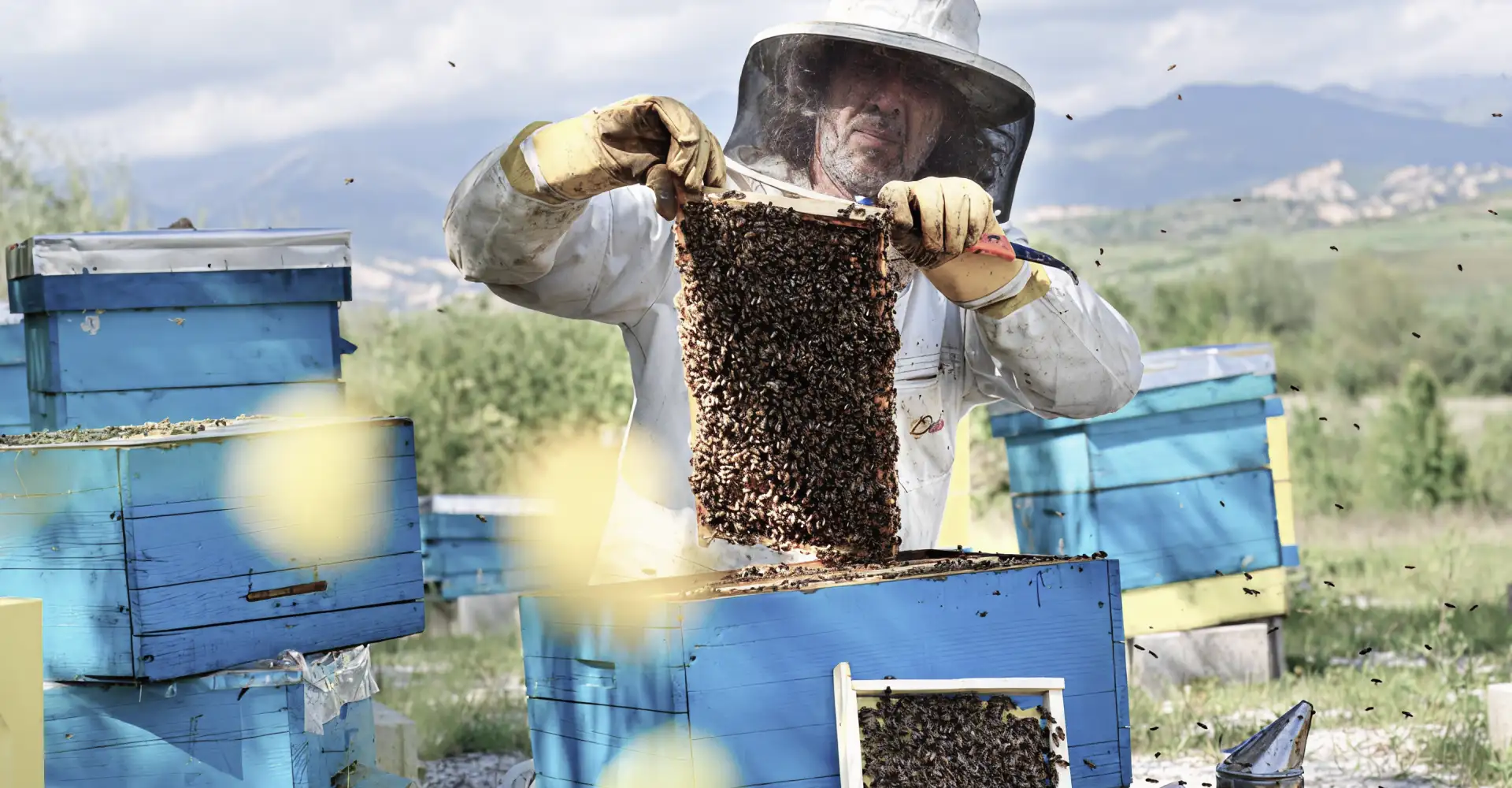 About us slider image