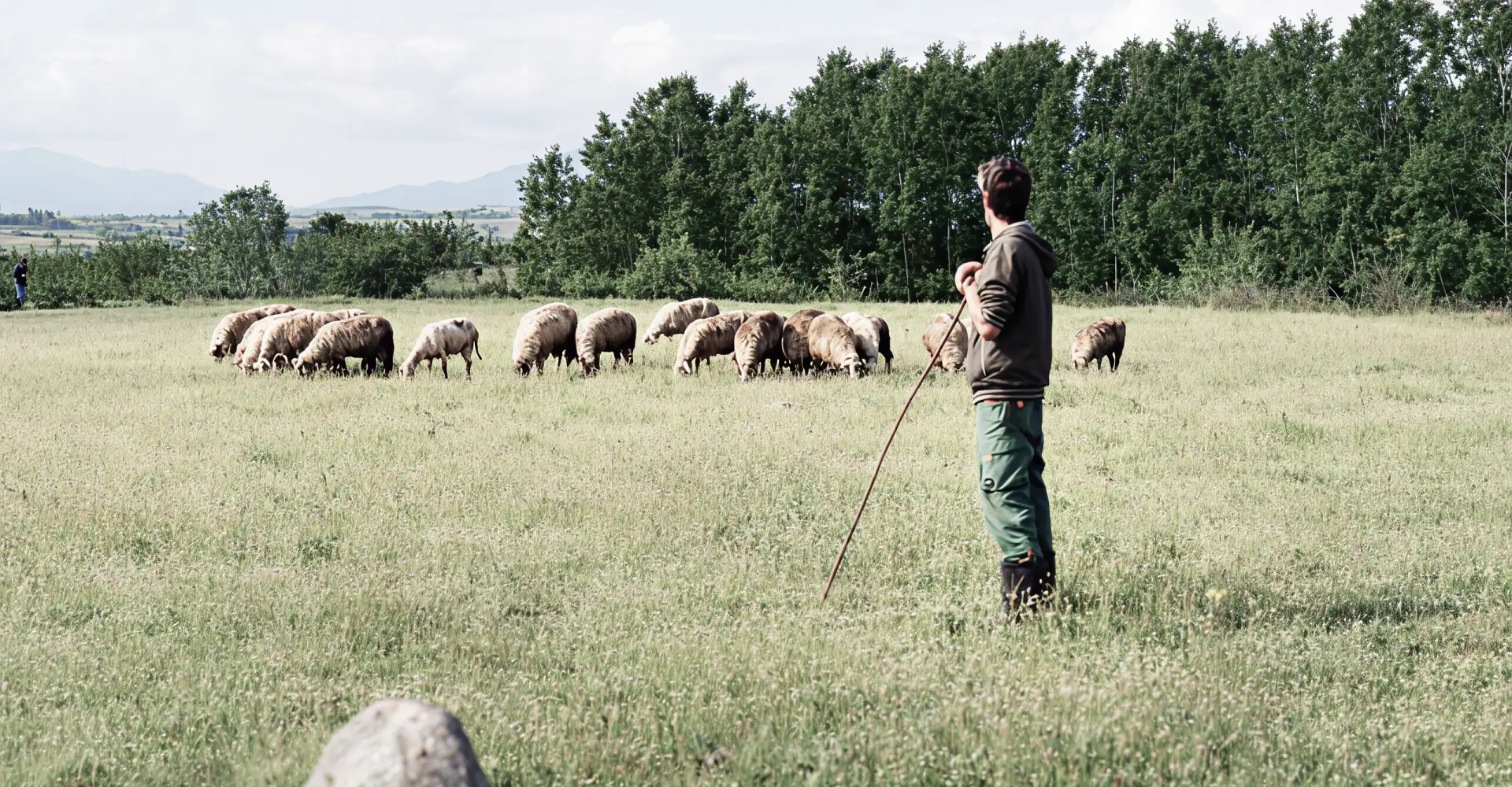 About us slider image