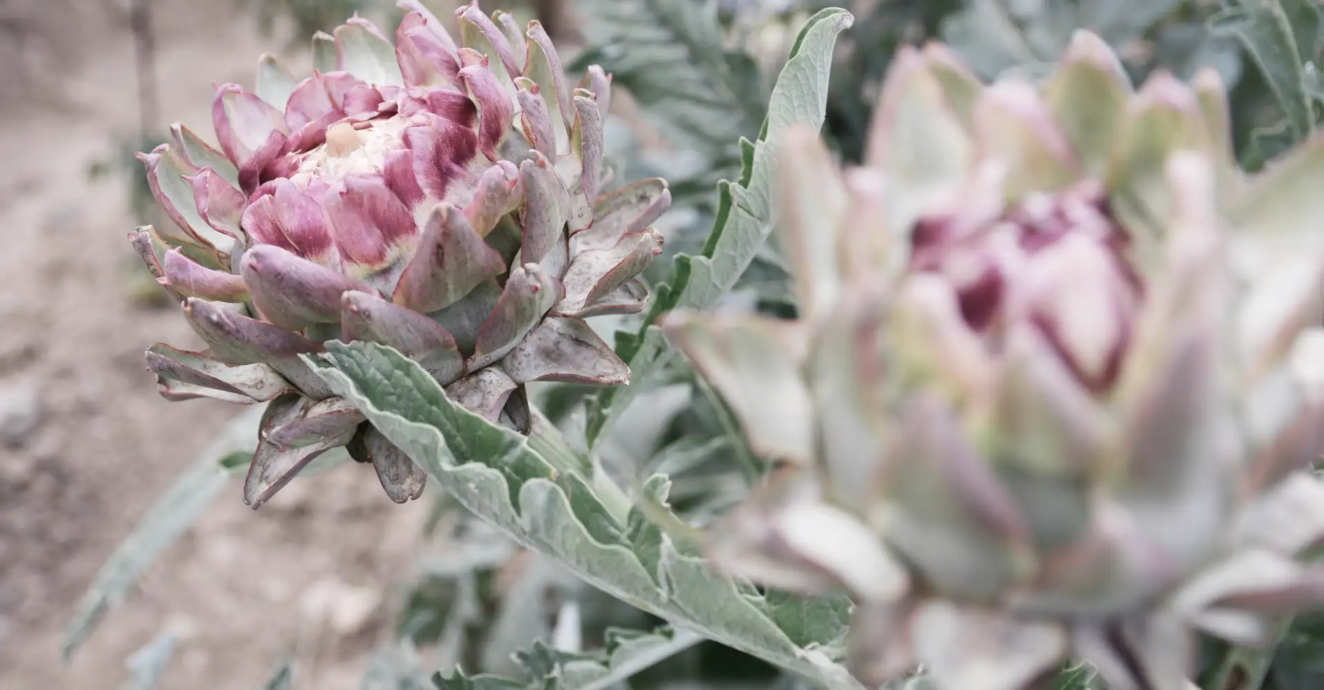 About us slider image