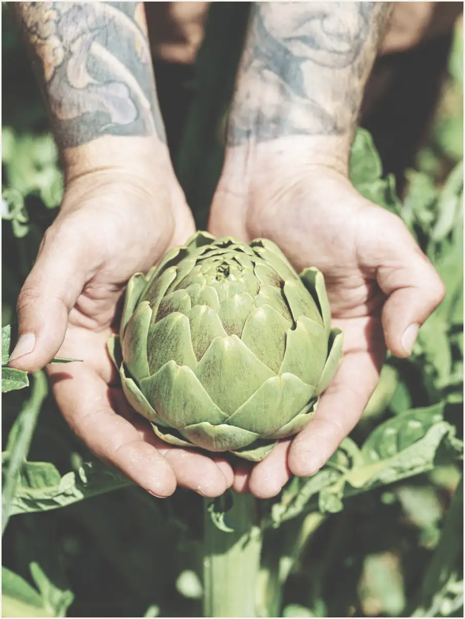 Farm to table first section image