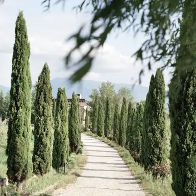 Visit us social image