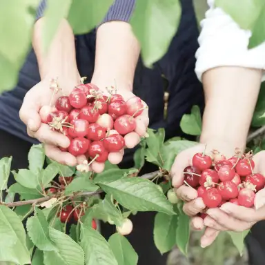 Visit us social image