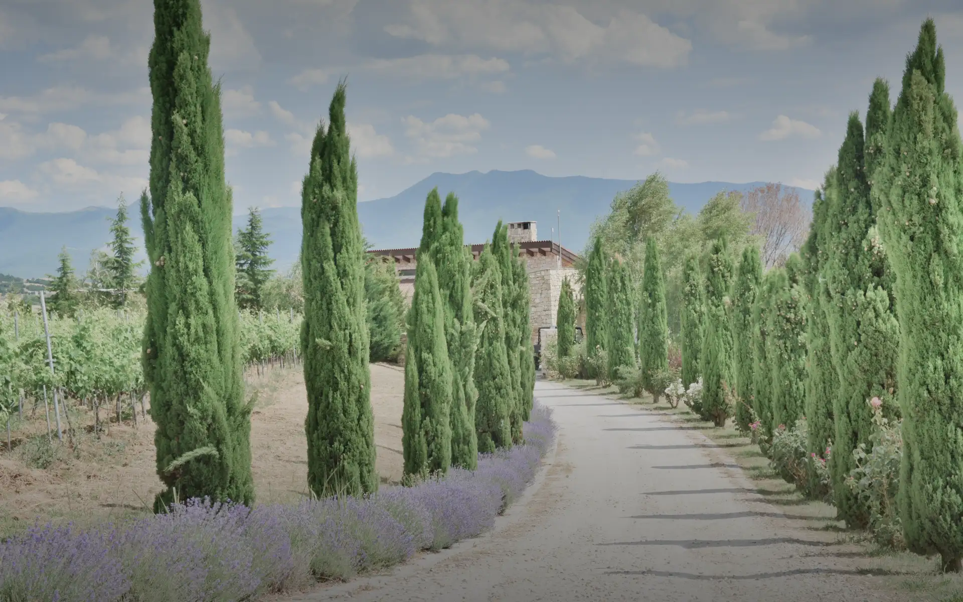 Homepage Banner 02 1