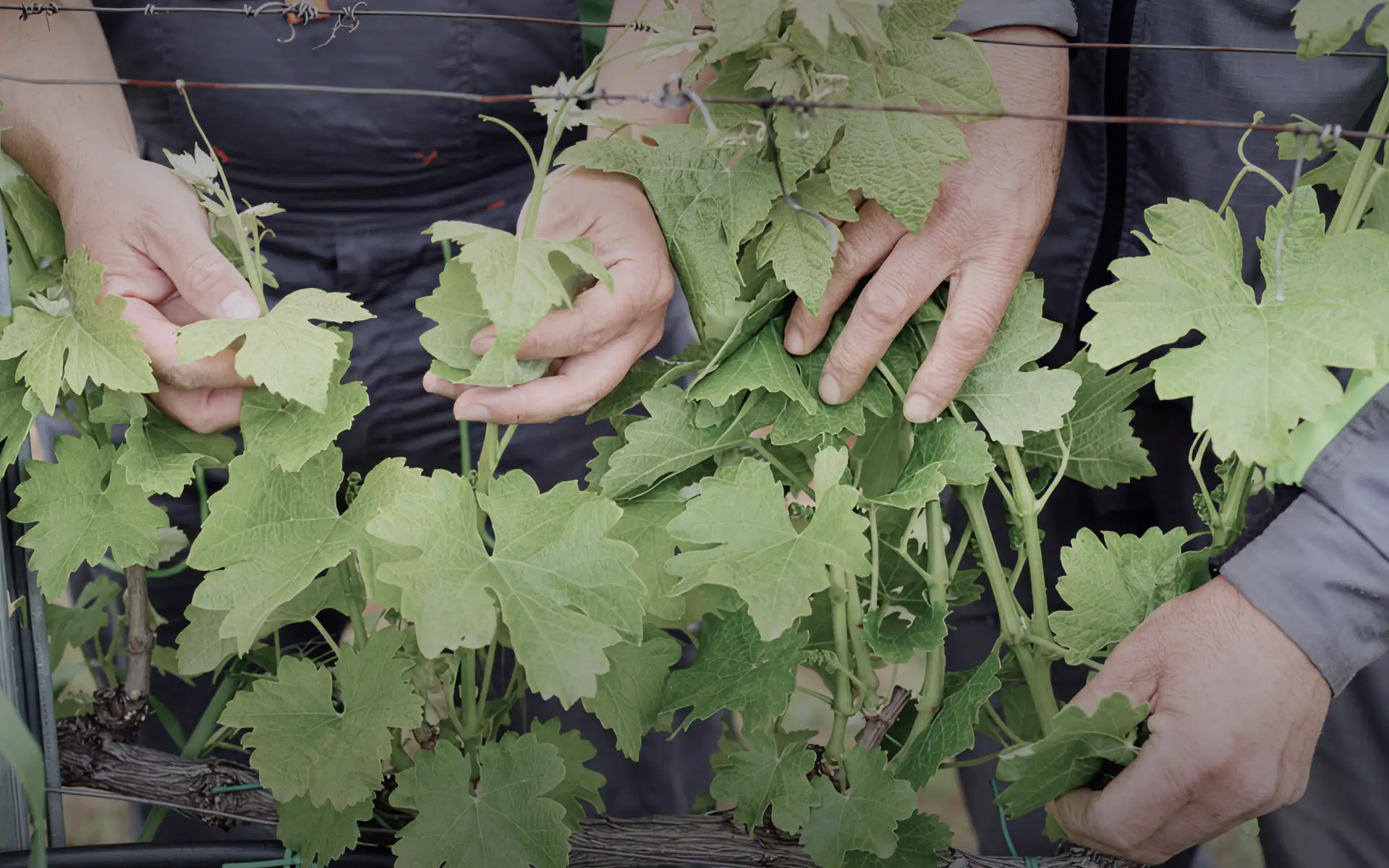 Homepage Banner 04 1