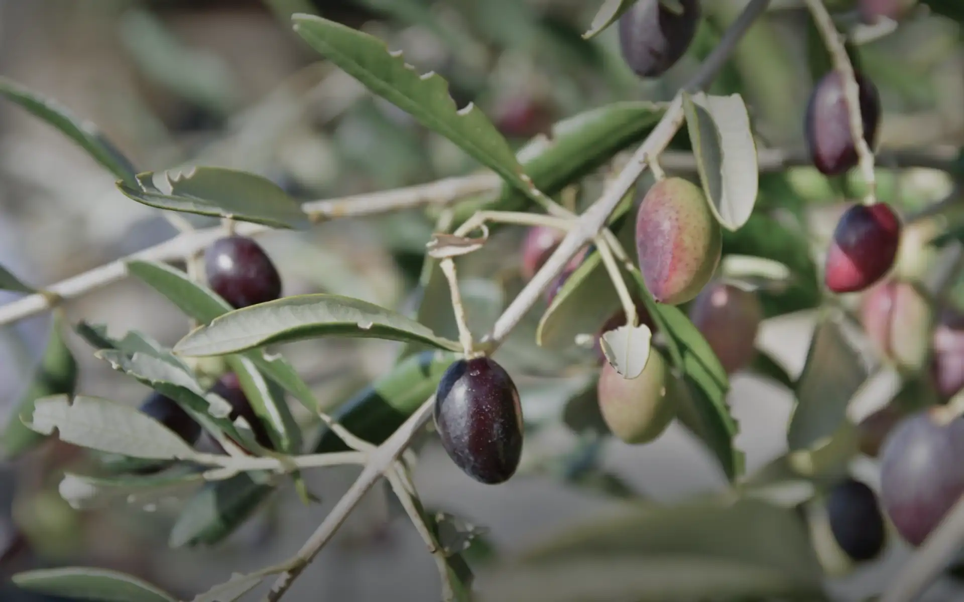 Homepage Banner 05 1