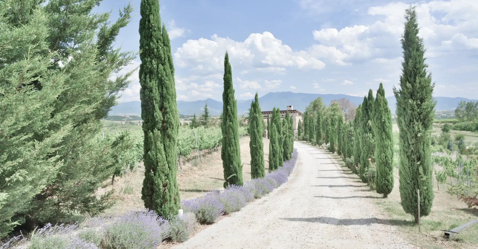 About us slider image