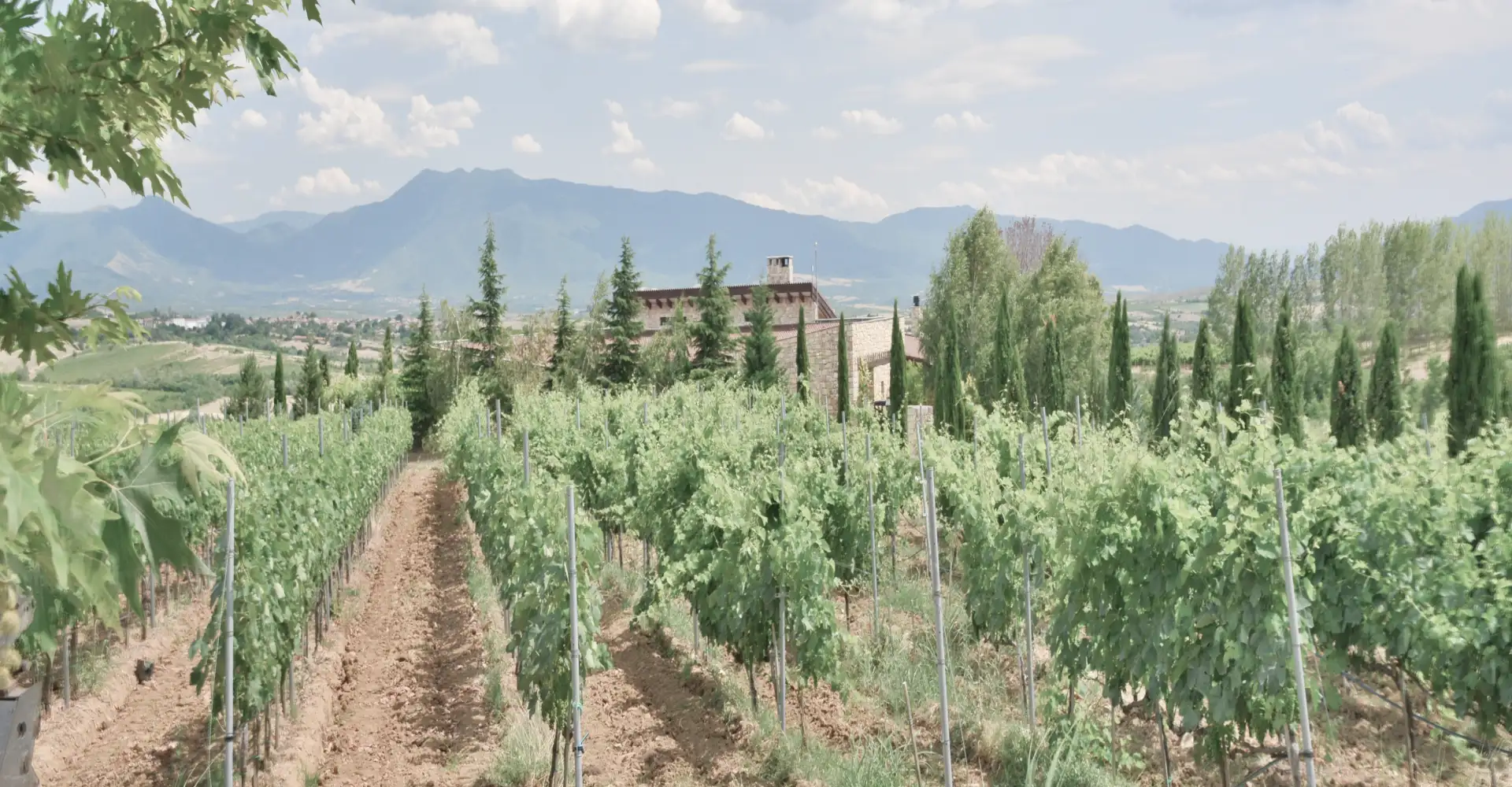 About us slider image