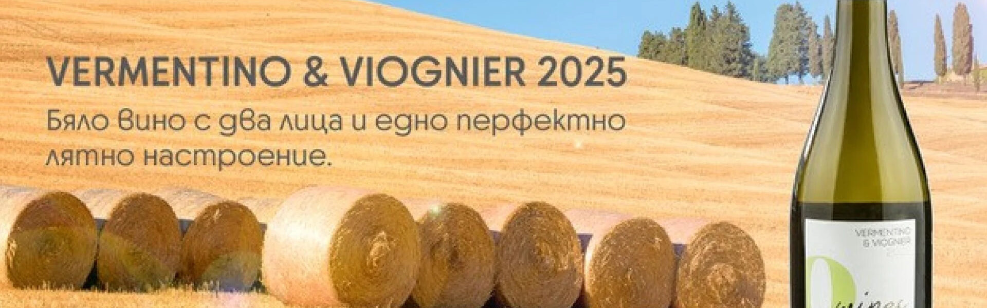 Вино на фокус: Q Wines Vermentino & Viognier 2025