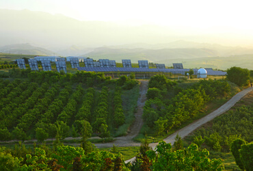 Kapatovo Gardens and Vineyards