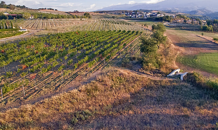 Winery